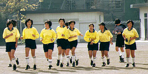 ippan-1 image