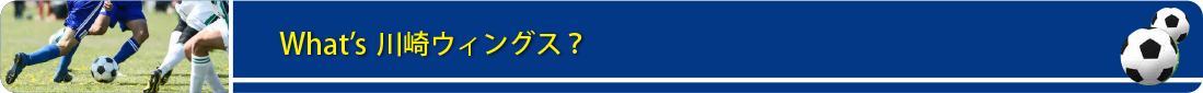 title_bar_01